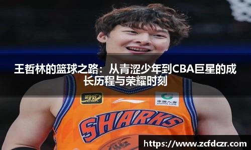 王哲林的篮球之路：从青涩少年到CBA巨星的成长历程与荣耀时刻